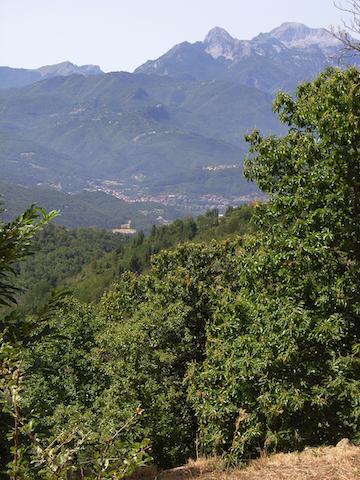 Pan.sulle.Apuane da Pensierino