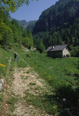 Val Gulva