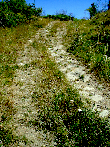 Vandelli sotto Colle di Pedro.1