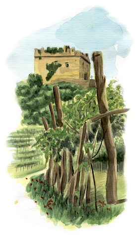 Colli di Soave490