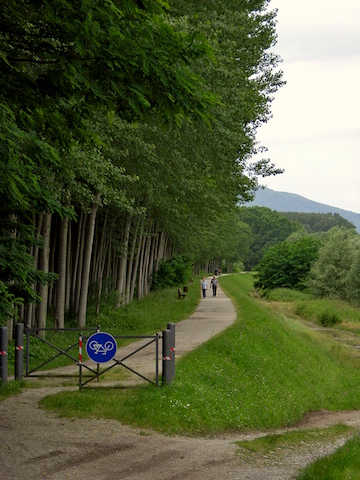 Ciclabile Serchio (3)