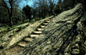 Ficuzza.Pulpito del Re