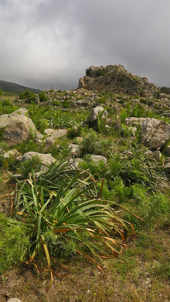 Nuraghe Bau 'e Tanca