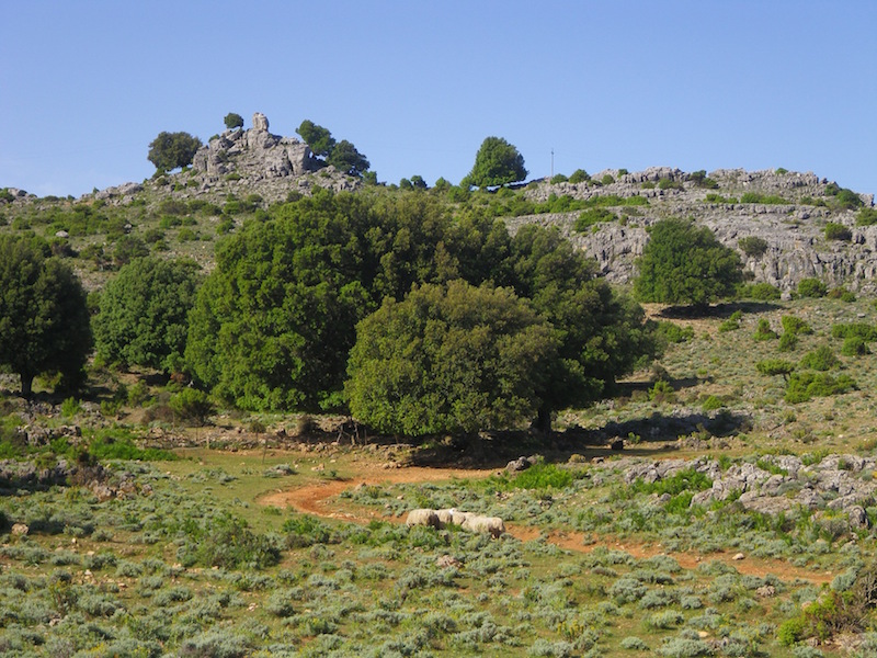 Uturu Allai
