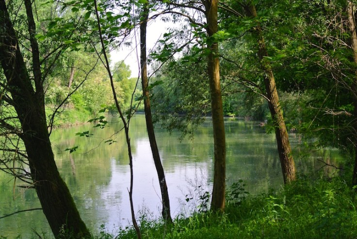 dsc_0071-f-serio-a-ricengo