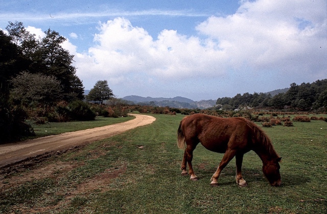 pian-di-ruschio1234-copia