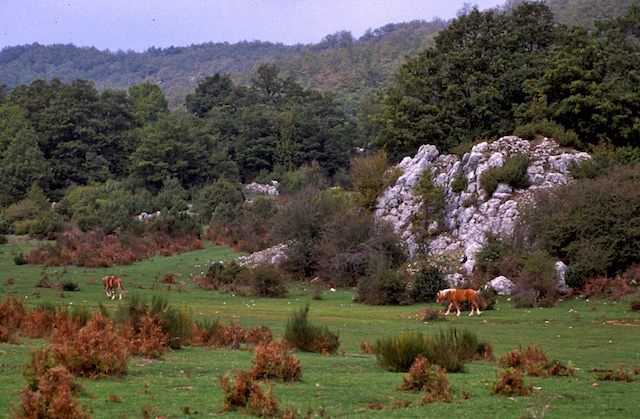 pian-di-ruschio13-copia