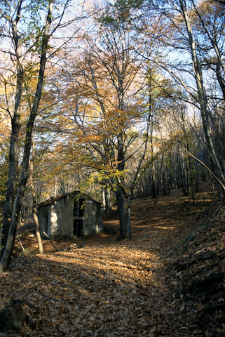 Bosco.M.S.Salvatore