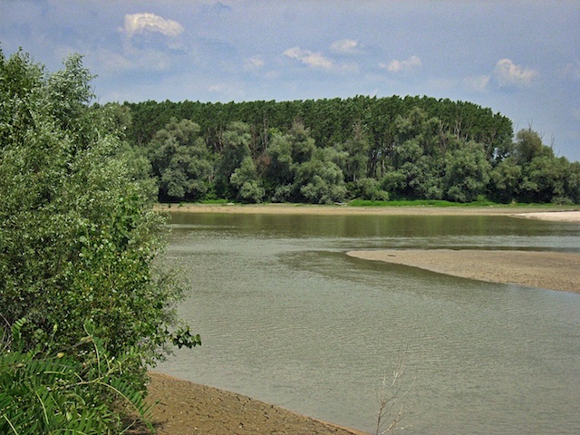 Tanaro