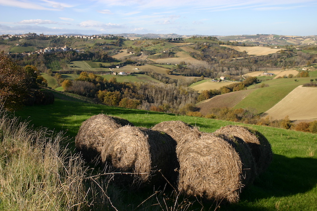 Monterubbiano.Spino