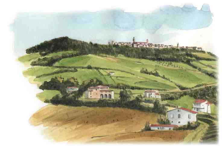 Monterubbiano214