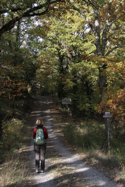 01.Avvio sentiero 805 Elmo