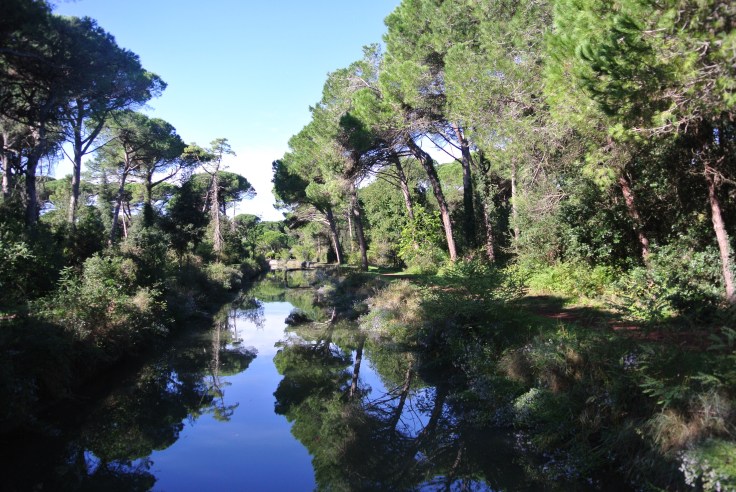 Cervia, Savio, saline…&nbsp;piadine