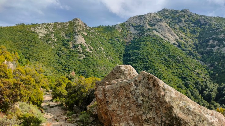 Podcast: Il Sentiero dei ‘caprili’ all’Isola&nbsp;d’Elba