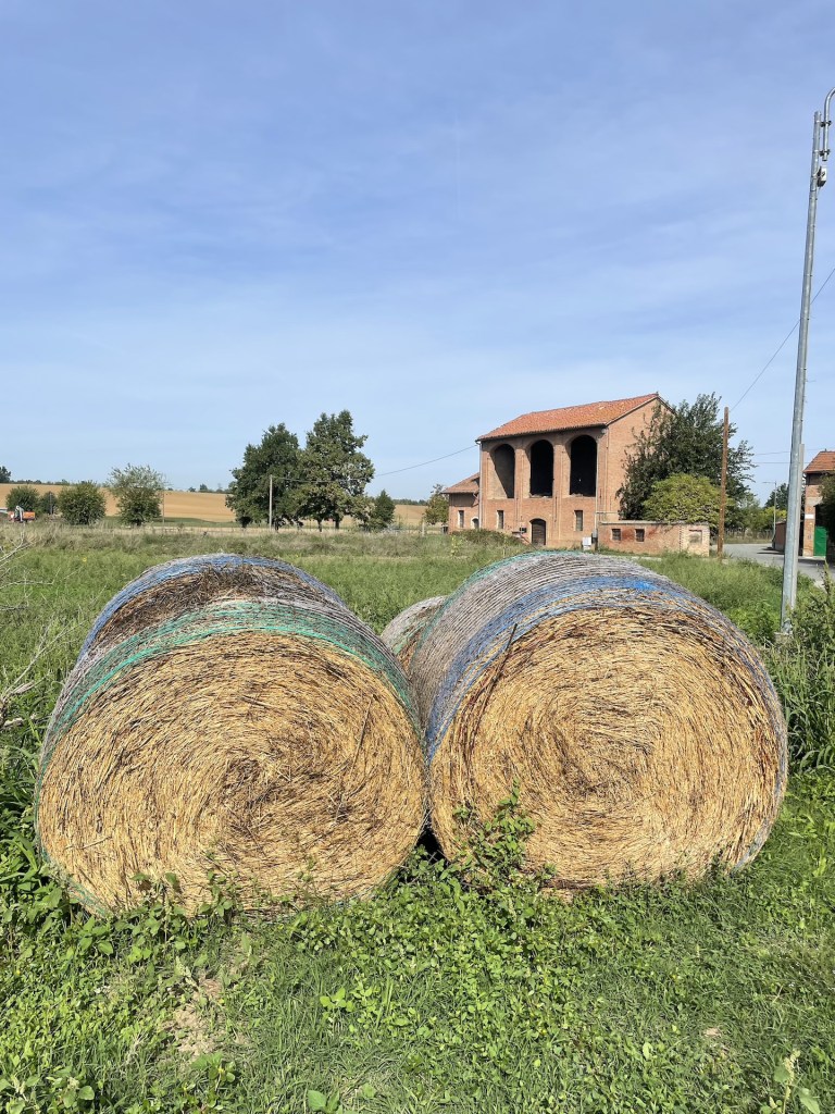 Due rotoballe di fieno in un campo, con un edificio rustico sullo sfondo e cieli azzurri.